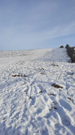 Купить земельный участок в Иркутске. Вариант № 9617480, 4, площадь -  квм, цена 700000 рублей