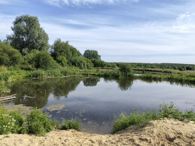 Купить дом в Гороховеце. Вариант № 615489, 24, площадь -  квм, цена 1600000 рублей