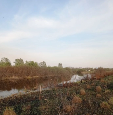 Купить земельный участок в Новосибирске. Вариант № 1249402, 2, площадь -  квм, цена 362000 рублей