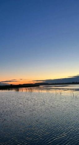 Купить дачу в Новосибирске. Вариант № 8154651, 4, площадь -  квм, цена 900000 рублей