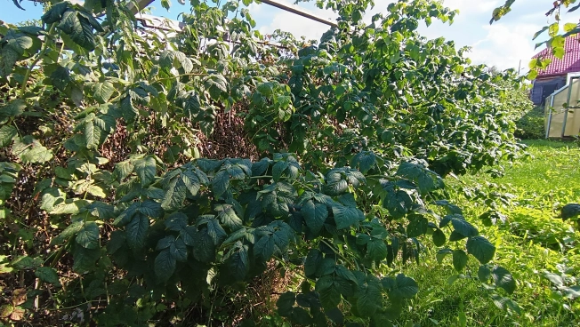 Купить дом в Микрорайоне Восточный, Тобольск в Тобольске. Вариант № 22430, 22, площадь -  квм, цена 15000000 рублей