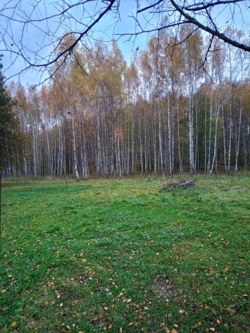 Купить земельный участок в Владимире. Вариант № 7593449, 2, площадь -  квм, цена 1200000 рублей