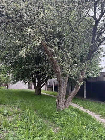 Купить дом на улице Выборгское шоссе в Санкт-Петербурге. Вариант № 61304, 8, площадь -  квм, цена 16100000 рублей