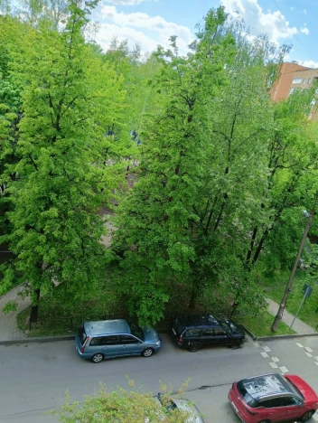 Купить квартиру в Мытищах. Вариант № 7592021, 13, площадь -  квм, цена 8800000 рублей