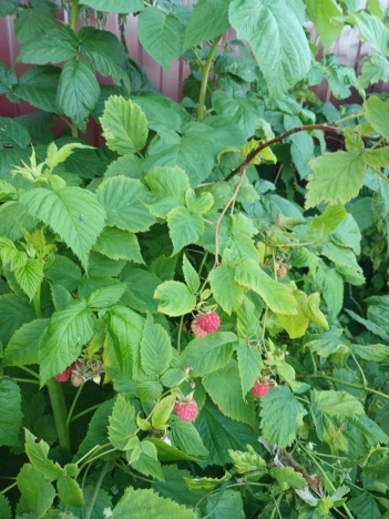 Купить дом на улице Старая Ляча в Ярославской области. Вариант № 16684, 20, площадь -  квм, цена 5300000 рублей