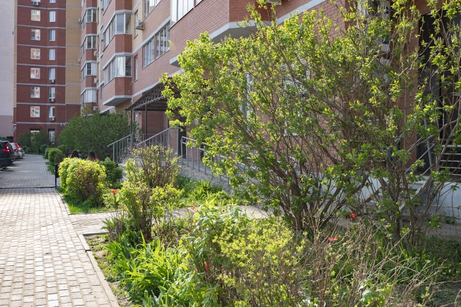 Купить двухкомнатную квартиру на улице Центральная в Щёлкове. Вариант № 37954, 43, площадь - квм, цена 12800000 рублей