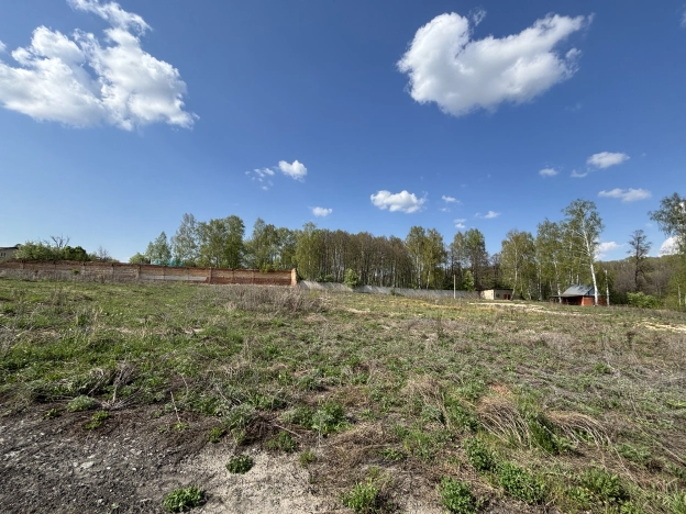 Купить земельный участок в Пензенской области. Вариант № 39431, 4, площадь -  квм, цена 80000000 рублей