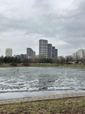 Купить квартиру в районе Левобережный в Москве. Вариант № 23601, 20, площадь - квм, цена 25500000.0000 рублей