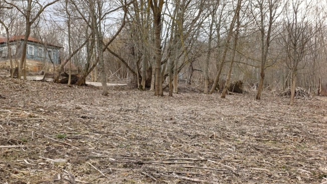 Купить земельный участок в Туле. Вариант № 21295, 2, площадь -  квм, цена 3200000 рублей