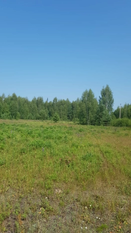 Купить земельный участок в Владимире. Вариант № 1428, 8, площадь -  квм, цена 480000 рублей