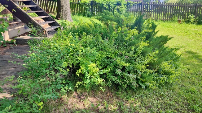 Купить дом в Калуге. Вариант № 8528, 11, площадь -  квм, цена 10990000 рублей