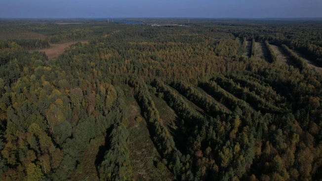 Купить земельный участок в Республике Карелия. Вариант № 13851, 14, площадь -  квм, цена 6000000 рублей