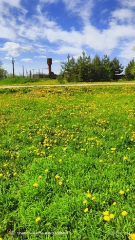 Купить земельный участок в Владимире. Вариант № 2363, 0, площадь -  квм, цена 970000 рублей