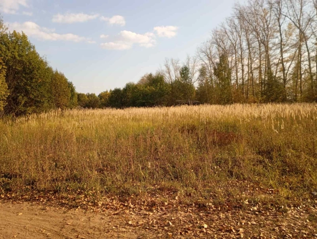 Купить земельный участок на улице Вишнёвая в Суздале. Вариант № 14559, 4, площадь -  квм, цена 568000 рублей