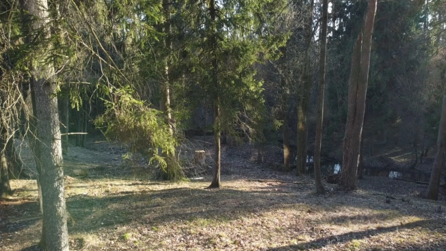 Купить дом в Тверской области. Вариант № 10389750, 19, площадь -  квм, цена 335000000 рублей