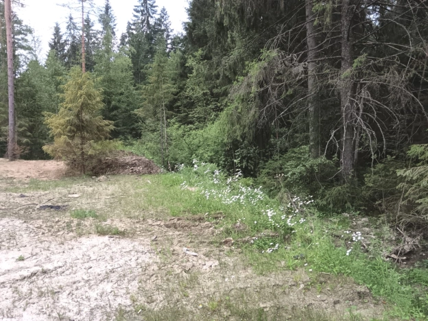 Купить земельный участок в Санкт-Петербурге. Вариант № 436785, 23, площадь -  квм, цена 5950000 рублей