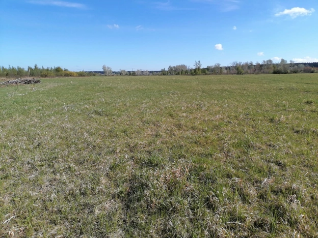 Купить земельный участок в Новосибирске. Вариант № 44375, 1, площадь -  квм, цена 750000 рублей