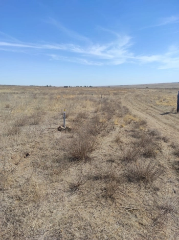 Купить земельный участок на улице Заречная в Республике Калмыкия. Вариант № 14381, 1, площадь -  квм, цена 450000 рублей