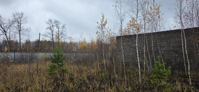 Купить земельный участок в Покрове. Вариант № 27988, 11, площадь -  квм, цена 3600000 рублей