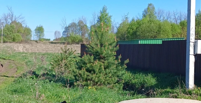 Купить земельный участок в Тульской области. Вариант № 6272, 6, площадь -  квм, цена 400000 рублей