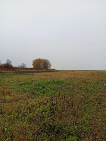 Купить земельный участок в Владимире. Вариант № 8161749, 2, площадь -  квм, цена 700000 рублей