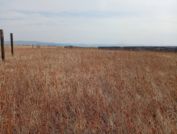 Купить земельный участок в Чите. Вариант № 21744, 5, площадь -  квм, цена 200000 рублей