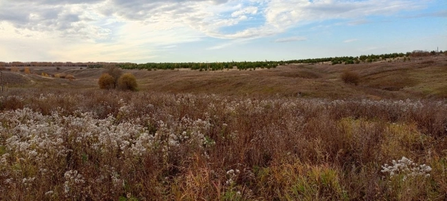 Купить земельный участок на улице Янтарная в Республике Татарстан (татарстан). Вариант № 3376340, 2, площадь -  квм, цена 1600000 рублей