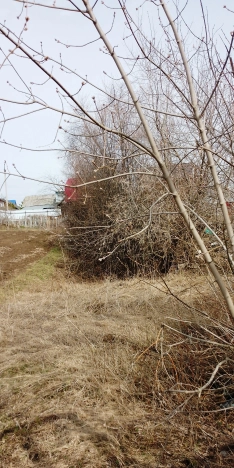 Купить земельный участок в Пермском крае. Вариант № 7256, 2, площадь -  квм, цена 860000 рублей