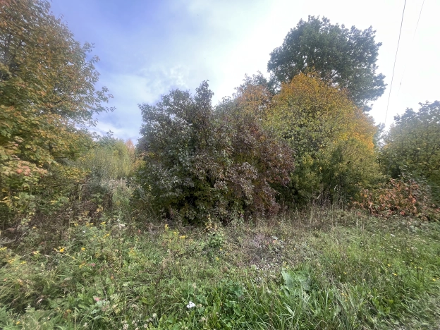 Купить земельный участок в Пензе. Вариант № 5339852, 3, площадь -  квм, цена 1650000 рублей