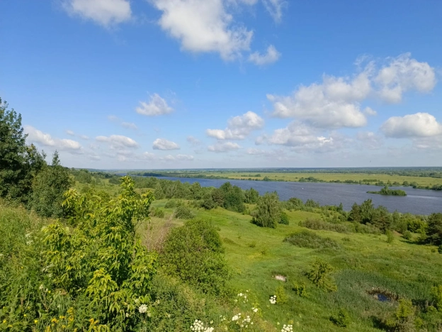 Купить двухкомнатную квартиру на вторичке в Рязанской области. Вариант № 9173, 24, площадь -  квм, цена 2699000 рублей