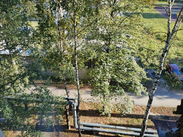 Купить квартиру у метро Парк Культуры в Нижнем Новгороде. Вариант № 6269406, 18, площадь -  квм, цена 5099000 рублей