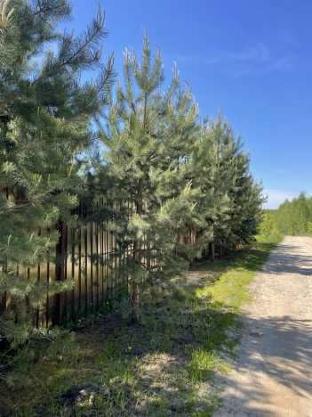 Купить дом в Боре. Вариант № 26870, 27, площадь -  квм, цена 13000000 рублей