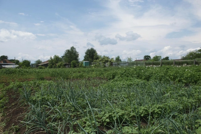 Купить дом на улице Амурская в Амурской области. Вариант № 60789, 17, площадь -  квм, цена 1000000 рублей