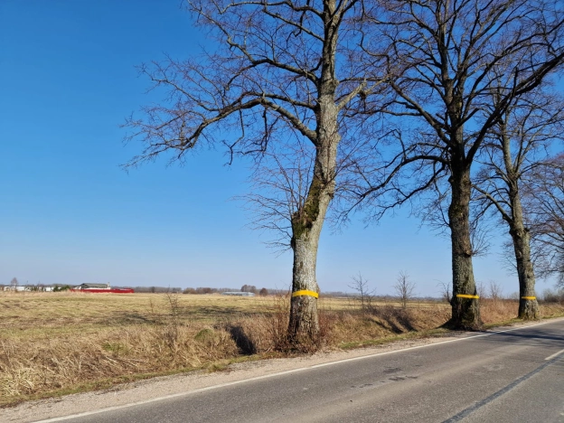 Купить земельный участок в Калининграде. Вариант № 30472, 0, площадь - квм, цена 29000000 рублей