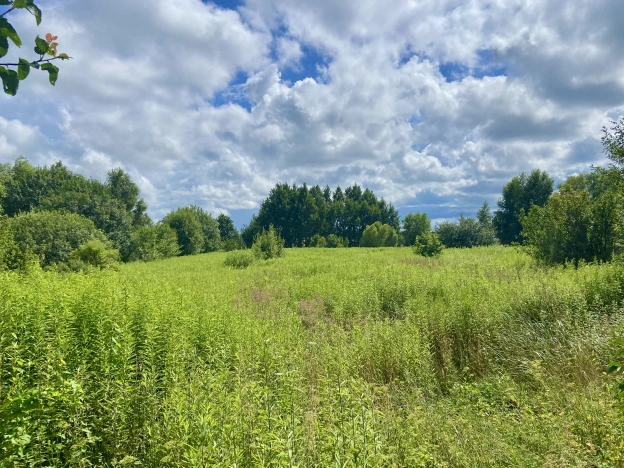 Купить земельный участок в Калининграде. Вариант № 1170760, 1, площадь -  квм, цена 1050000 рублей