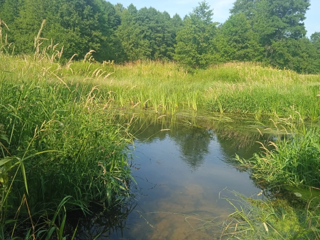 Купить земельный участок в Коврове. Вариант № 60462, 10, площадь -  квм, цена 1750000 рублей