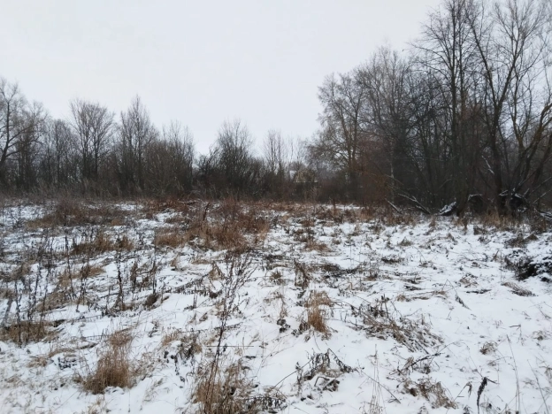 Купить земельный участок в Тульской области. Вариант № 19500, 0, площадь -  квм, цена 495000 рублей