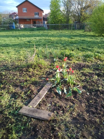 Купить земельный участок в Краснодаре. Вариант № 41119, 0, площадь - квм, цена 5950000.0000 рублей