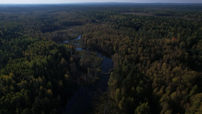Купить земельный участок в Республике Карелия. Вариант № 13851, 23, площадь -  квм, цена 6000000 рублей