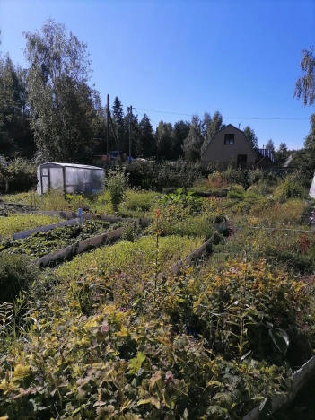 Купить земельный участок в Республике Коми. Вариант № 2839048, 2, площадь -  квм, цена 650000 рублей