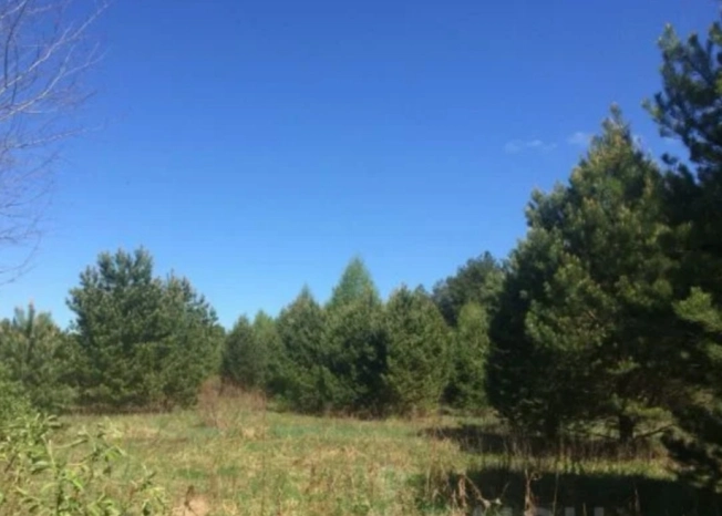 Купить земельный участок на улице Загородная в Ярославской области. Вариант № 15254, 10, площадь -  квм, цена 500000 рублей