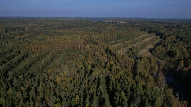 Купить земельный участок в Республике Карелия. Вариант № 13851, 22, площадь -  квм, цена 6000000 рублей