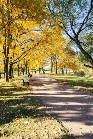 Купить земельный участок в Санкт-Петербурге. Вариант № 1157773, 3, площадь -  квм, цена 9800000 рублей