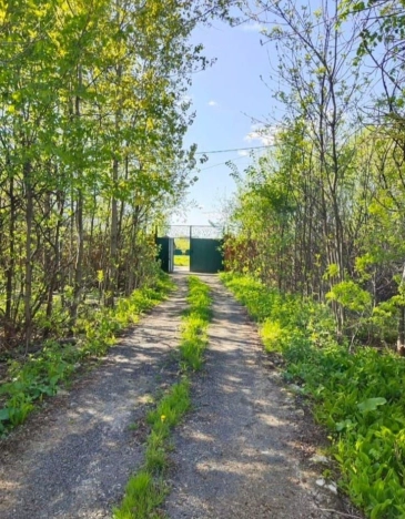 Купить дом в Москве. Вариант № 6649932, 17, площадь -  квм, цена 11330000 рублей