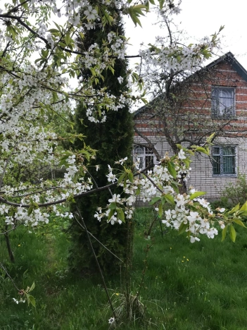 Купить дачу у метро Фабричная в Московской области. Вариант № 1663633, 17, площадь -  квм, цена 3400000 рублей