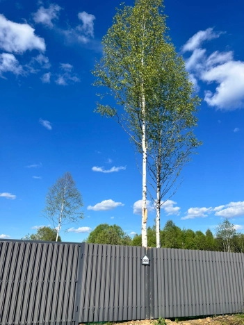 Купить земельный участок в Тверской области. Вариант № 18690, 15, площадь -  квм, цена 6799000 рублей