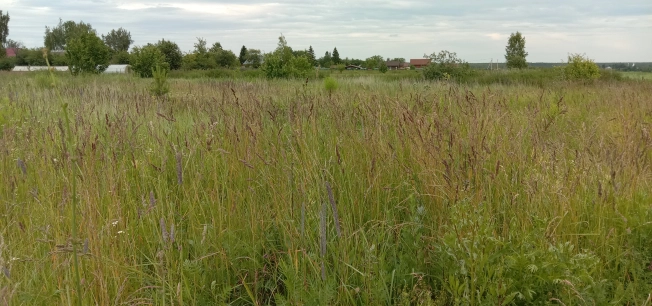 Купить земельный участок на улице Вознесенская в Ивановской области. Вариант № 56402, 0, площадь -  квм, цена 3500000 рублей