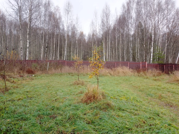 Купить земельный участок в Тверской области. Вариант № 9827934, 0, площадь -  квм, цена 2500000 рублей