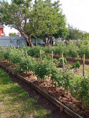 Купить дом в Грайвороне. Вариант № 3957212, 11, площадь -  квм, цена 12500000 рублей