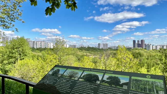 Купить квартиру в СЗАО в Москве. Вариант № 41264, 35, площадь - квм, цена 25500000.0000 рублей
